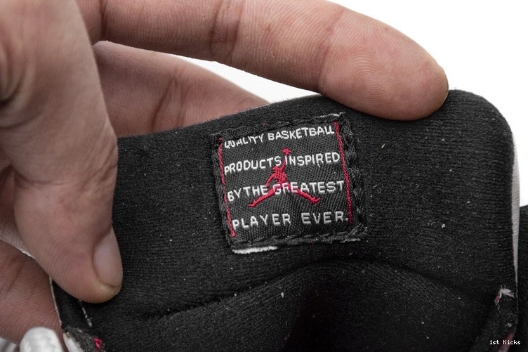 Jordan Bone Low Light 11 Retro  Snake CD6846-002 0414